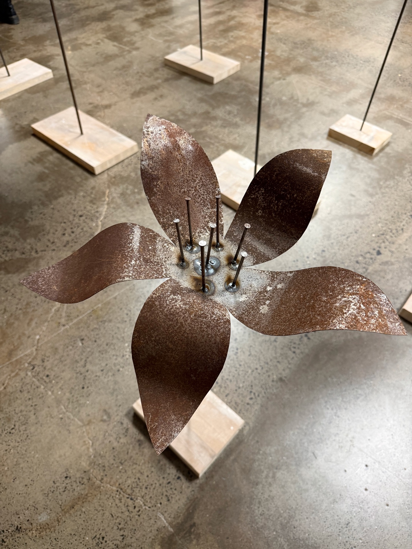 Flower Forest — aerial view